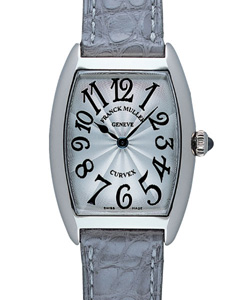 SS�@�V���o�[